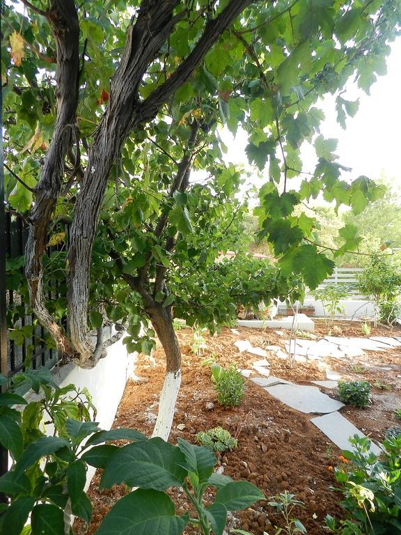 Villa Kristina - Artemida Ngoại thất bức ảnh